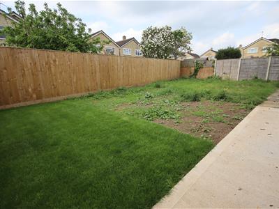 Picture 12